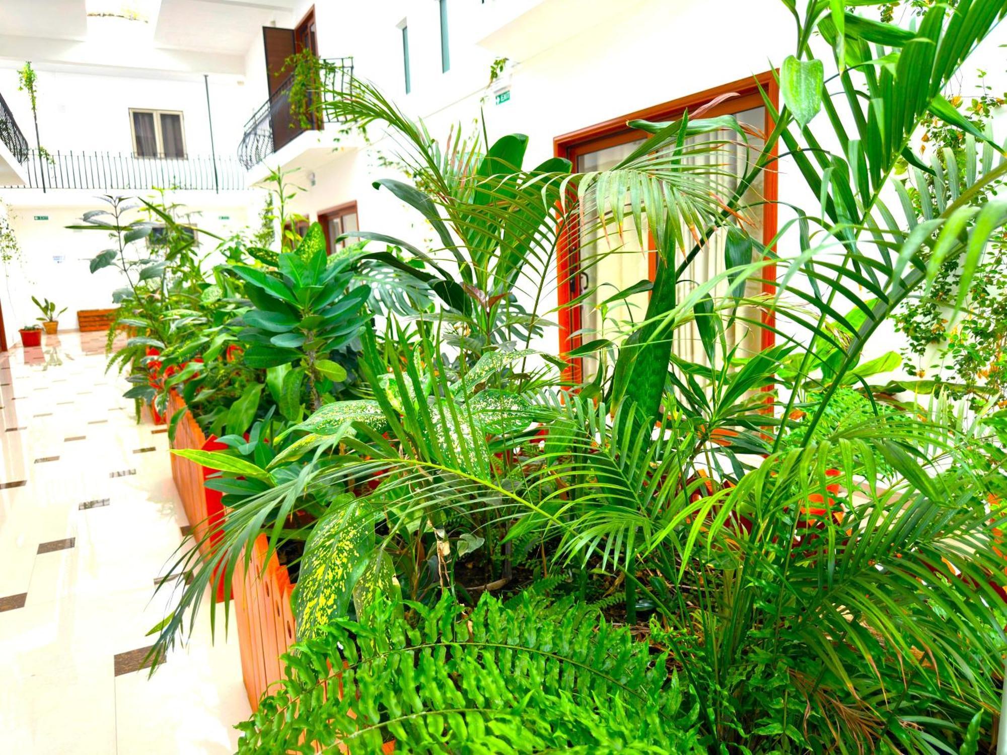 Residence Le Point Choisy Pointe aux Canonniers Εξωτερικό φωτογραφία